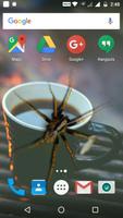Spider On Screen - Funny Prank Affiche