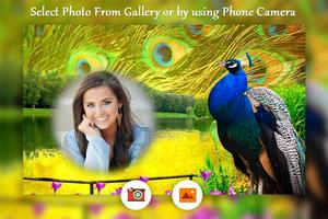 Peacock photo frame скриншот 1