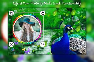 Peacock photo frame скриншот 3