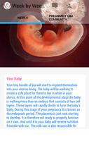 Pregnancy Stages screenshot 1