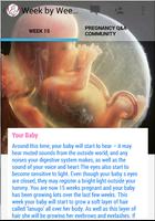 Pregnancy Stages screenshot 3