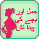 Pregnancy Guide Urdu APK