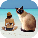 Cut Paste Photos APK