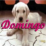 Domingo