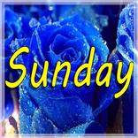 Sunday