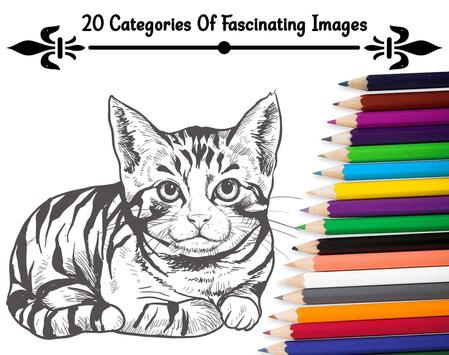 Download Princess Coloring Pages Apk For Android Latest Version