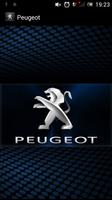 PLAN PEUGEOT OFICIAL Poster