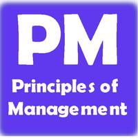 Principles of Management plakat