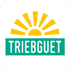Triebguet icono