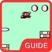 Guide for Super Mario Bros 3