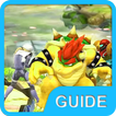 Guide for Super Smash Bros