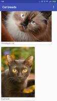 Breeds of cats. Photo game for children guess name capture d'écran 1