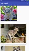 Breeds of cats. Photo game for children guess name capture d'écran 2
