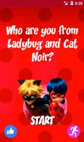 Test: Qui es-tu des Miraculous Ladybug et Cat Noir Affiche