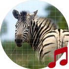 Africa Animal sounds ~ Sboard.pro আইকন