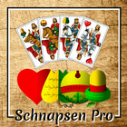 Schnapsen Pro आइकन