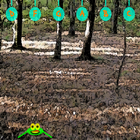 Frog Songs - Free version icon