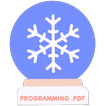 Programming.PDF