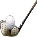 Golf X