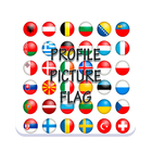 image profil drapeau icône