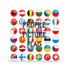 picture profile flag ikon