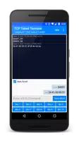 TCP Telnet Terminal screenshot 3