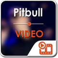 Pitbull Video