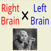 Cerveau droit et gauche