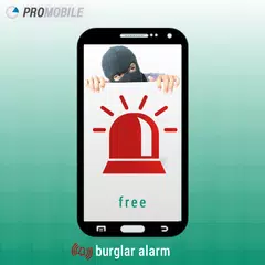 Security Camera Alarm System