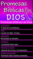 Promesas Bíblicas de Dios screenshot 3