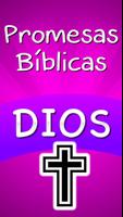 Promesas Bíblicas de Dios poster