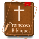 Promesses Biblique APK