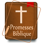 Promesses Biblique icône