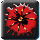 Bloody Spiders Live Wallpaper