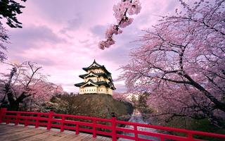 Musique traditionnelle japonai Affiche