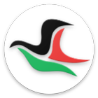 بريدي icon