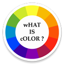What is Color ? APK