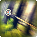 Maître archer APK