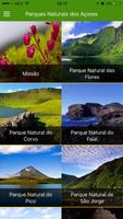 Parques Naturais dos Açores-poster