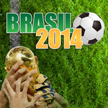 Copa2014