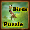 Birds Puzzle