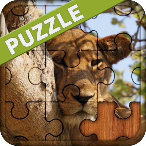 Animal Puzzles Games