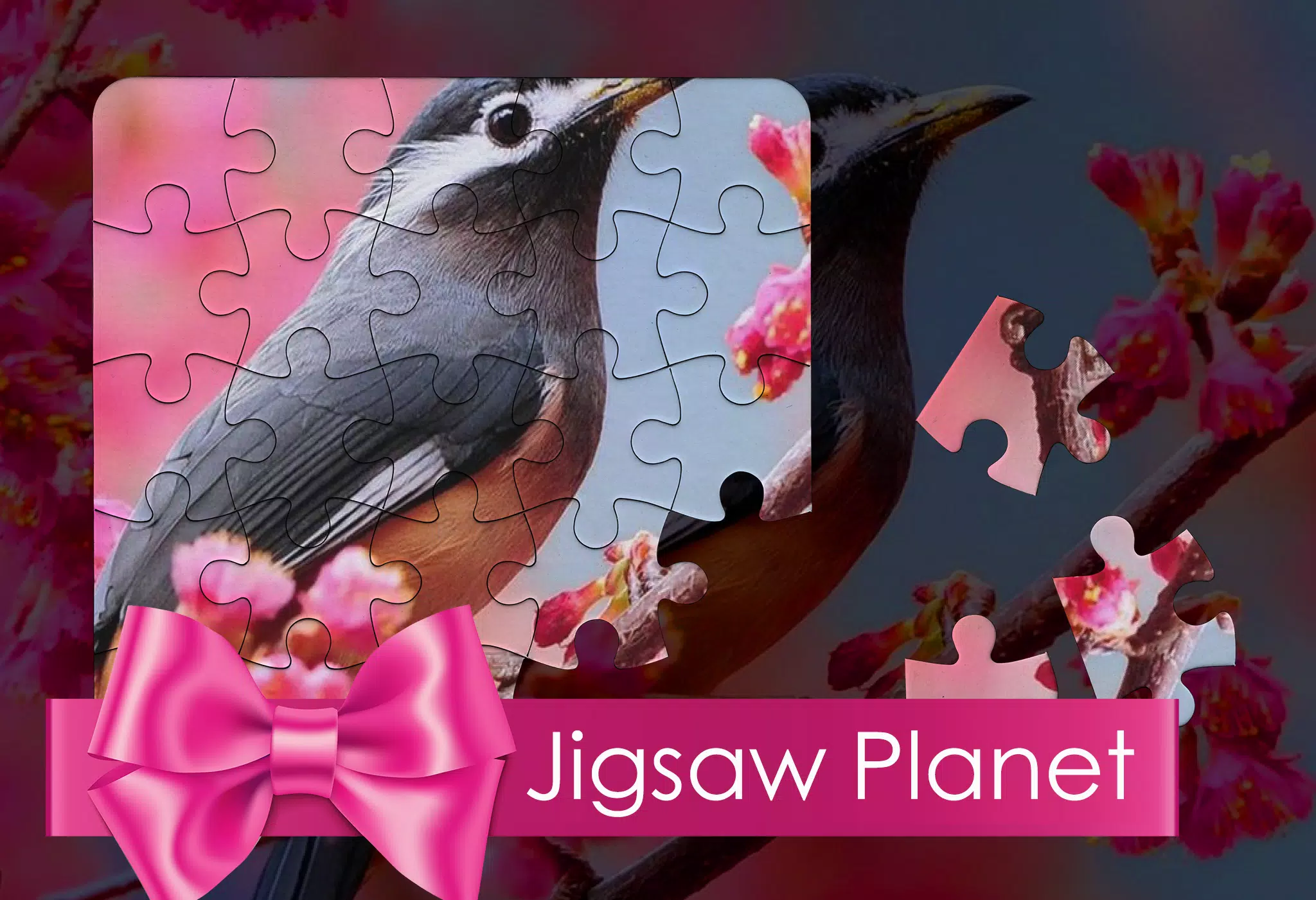 Descarga de APK de Jigsaw Planet para Android