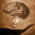 Prof.Brain