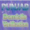 Punjab Domicile Verification