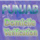 Punjab Domicile Verification APK