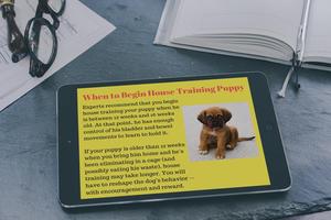 Puppy Training capture d'écran 2