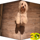 Puppy HD Video LWP APK