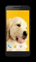 Puppy Licks Screen Video LWP Affiche