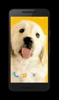 Puppy Licks Screen Video LWP capture d'écran 1